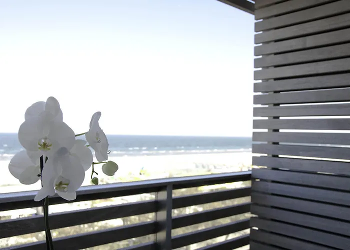 Hotel Kiss Beachfront Hotel&restaurant 3*