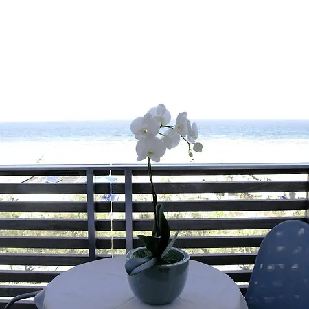 호텔 Kiss Beachfront & Restaurant 3*